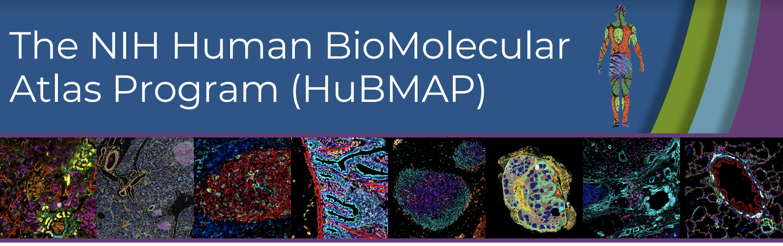 The NIH Human BioMolecular Atlas Program (HuBMAP)