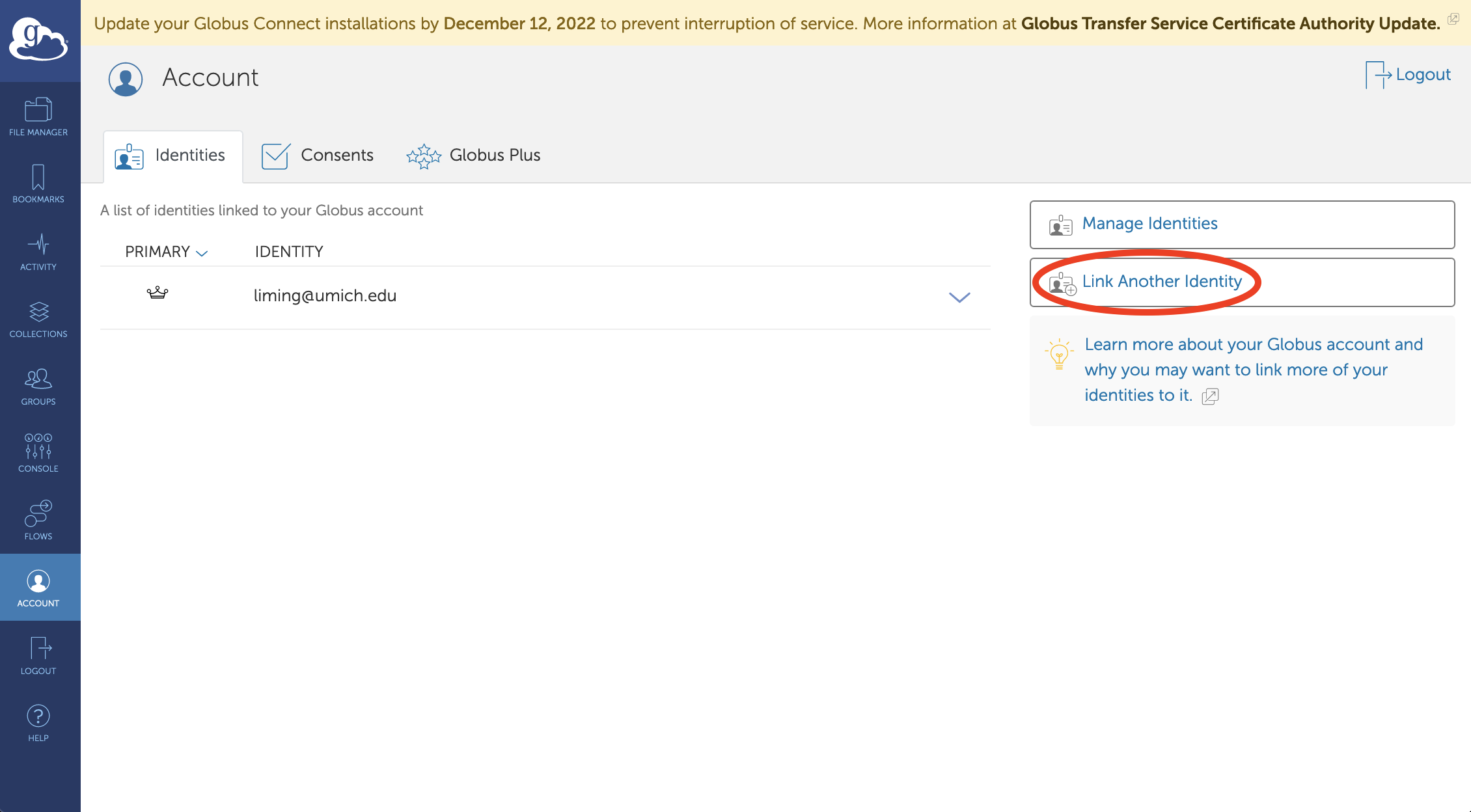 Globus account section of dashboard screenshot