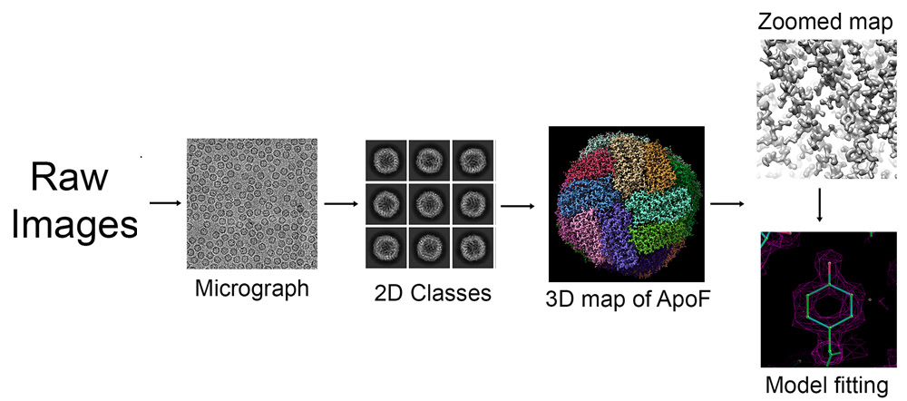 CryoEM Workflow