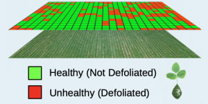 ai farming not-defoliated / foliated graphic