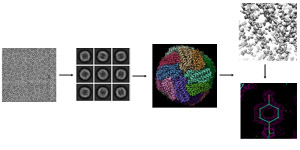 CryoEM Workflow