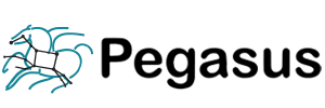 Pegasus Workflows